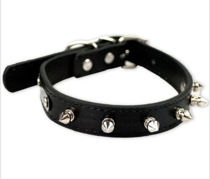 Spiked Dog Collar